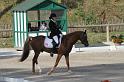 IMG_3049_resize
