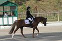 IMG_3051_resize