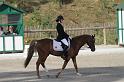 IMG_3052_resize