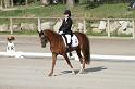 IMG_3053_resize