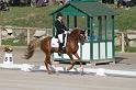 IMG_3060_resize