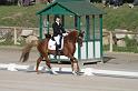 IMG_3061_resize