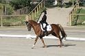 IMG_3071_resize