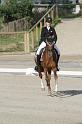 IMG_3074_resize