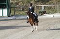 IMG_3093_resize