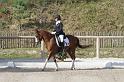 IMG_3112_resize