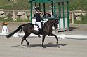 IMG_3149_resize