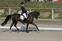 IMG_3156_resize