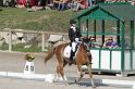 IMG_3166_resize