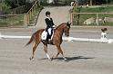 IMG_3171_resize