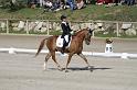 IMG_3174_resize