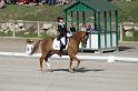 IMG_3175_resize