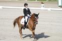 IMG_3188_resize