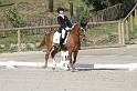 IMG_3194_resize