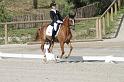 IMG_3195_resize