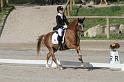 IMG_3197_resize