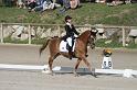 IMG_3202_resize