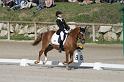 IMG_3203_resize