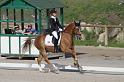 IMG_3205_resize