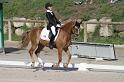 IMG_3206_resize