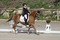 IMG_3207_resize