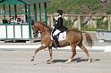 IMG_3214_resize