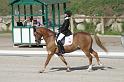IMG_3215_resize