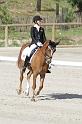IMG_3221_resize