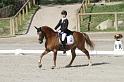 IMG_3223_resize