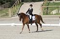 IMG_3224_resize