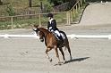 IMG_3225_resize