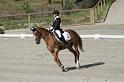 IMG_3227_resize