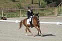 IMG_3228_resize