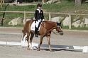 IMG_3233_resize