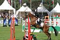 IMG_3403_resize