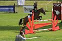 IMG_3598_resize