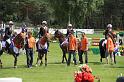 IMG_3668_resize