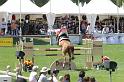 IMG_4082_resize