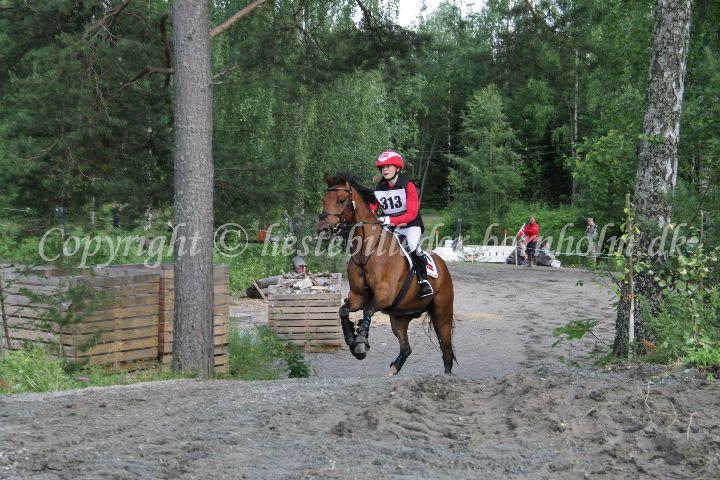 IMG_6248.JPG