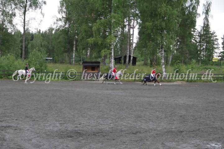 IMG_7178.JPG