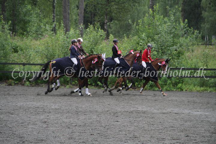 IMG_7503.JPG