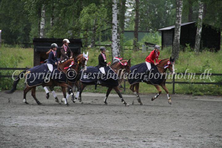 IMG_7506.JPG