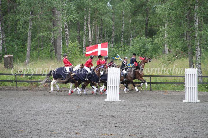 IMG_7748.JPG