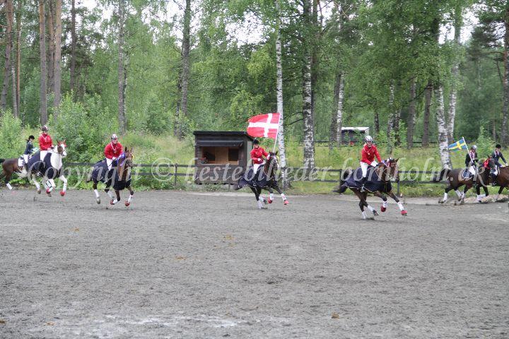 IMG_7761.JPG