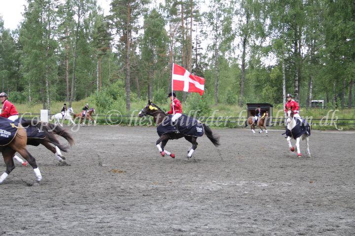 IMG_7770.JPG