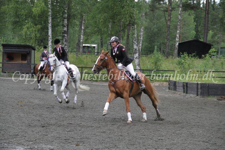 IMG_7772.JPG