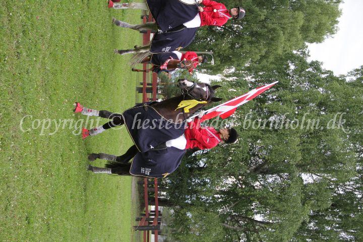 IMG_7861.JPG