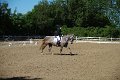 IMG_8878