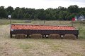 IMG_9868