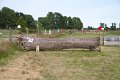 IMG_9869